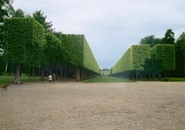 FRANCJA OGROD BAROKOWY FORMOWANIE STRZYZENIE CIECIE TOPIAR TOPIARY FORMA TOPIARYCZNA BOSKIET OS WIDOKOWAFOT. ANDRZEJ PIENKOSSLAJD MALYPUBLIKACJA OGRODY NR 2 (58) - 2.2004