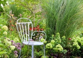 Trawy ozdobne w donicy