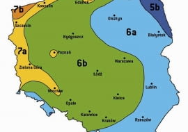 STREFY MROZOODPORNOŚCI NA OBSZARZE POLSKI. Najostrzejsze zimy występują w Polsce północno-wschodniej i wschodniej. Tam sadzimy rośliny najodporniejsze