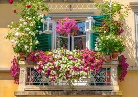 Jak urządzić ogród w mieście- balkon pełen kwiatów