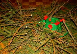 Choinka po świętach - Jak się jej pozbyć?