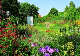 Imponujące bylinowe rabaty w słonecznym "pokoju", środkiem wiedzie trawiasta ścieżka.