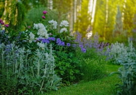 Trendy ogrodnicze w 2025 r