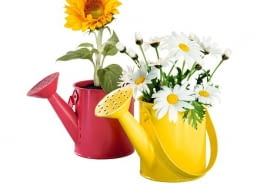 Doniczki - konewki. W zestawie są 2 blaszane konewki (wysokość każdej 14 cm), torf i nasiona margerytek oraz słoneczników. To oryginalny pomysł na prezent dla dużych i małych: pierwsze roślinki wschodzą już po kilku dniach! Cena zestawu 14,99 zł