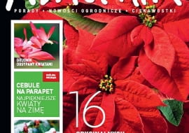 Okładka miesięcznika Kwietnik nr 12/2011