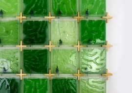 The Coral - domowa hodowla alg. Proj. Hyunseoka An