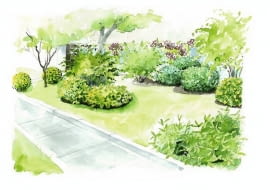 Projekt rabaty "Swobodne krzewy"