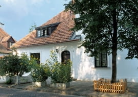 elewacje,elewacje domów,tynk,tynki