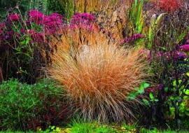 OGROD RABATA TRAWA TURZYCA DALLA I ROZCHODNIKIFOT. LILIANNA SOKOLOWSKAPUBLIKACJA KWIETNIK NR 10 (166) - 10 2008PUBLIKACJA CZTERY KATY NR 9 (227) - 9 2010