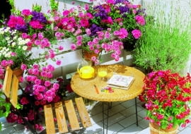 Na tym tarasie aromatów jest cały bukiet. W słońcu pachną lawenda i heliotrop, a wieczorem tytoń. Barw dodają im werbena, pelargonia i srebrzeń.