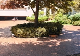 Czysty podjazd przed domem