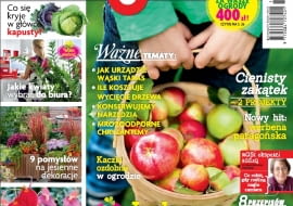 Magazyn Magnolia numer 11