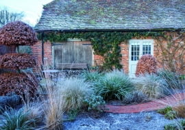 Wystarczy kilka umiejętnie dobranych roślin, by ogrodowy zakątek wyglądał niebanalnie, jak dobrze skrojony, elegancki garnitur.