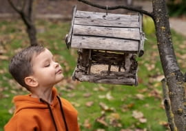 Dzieci karmią ptaki