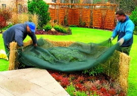 12.11.2003 ZALESINEK OGROD JESIEN OGRODOWE PRACE JESIENNE PRZYKRYWANIE KRZEWY LISCIASTE MATA OCHRONNA ZABEZPIECZENIE ROSLIN OKRYWANIE PRZED ZIMA DO PISMA KWIETNIK ARANZACJA PANI DANUTA MLOZNIAK FOT. PAWEL SLOMCZYNSKI / AGENCJA GAZETA PUBLIKACJA KWIETNIK NR 11 (131) - 11.2005