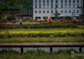 W Warszawie stanęły repliki ławek z lat 60. projektu prof. Jerzego Sołtana