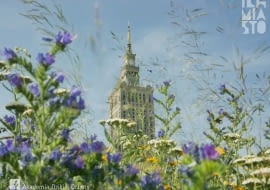 Akademia Dzikiej Ochoty