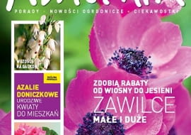 Okładka miesięcznika Kwietnik 03/2012