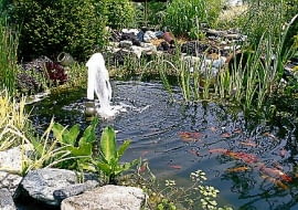 Fontanna to nie tylko ozdoba basenu, ale też sposób napowietrzania wody. Żeby mogła działać, potrzebna jest pompa z odpowiednią dyszą fontannową