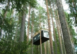 TreeHotel