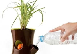 Doniczka z samonawadnianiem roślin. Wystarczy raz na jakiś czas uzupełnić zapas wody w zbiorniku w dolnej części doniczki