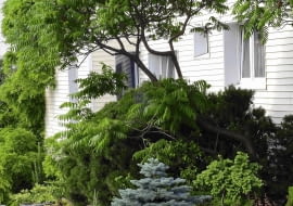 PONOWNA PUBLIKACJA PO UZGODNIENIU Z REDAKCJA !!! DOM I OGROD PRYWATNY PANSTWA GOLASZEWSKICH NZ STRUMYK , POTOK FOT. LILIANNA SOKOLOWSKA PUBLIKACJA OGRODY NR 6 (122) - 6 2009 SLOWA KLUCZOWE: OGRODY WODA XNO ZDJĘCIE DO WKŁADKI: PUBLIKACJA OGRODY NR 6 (122) - CZASOPISMA