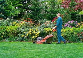 14.05.2003 WROCLAW OKOLICE MIASTA OGROD PRYWATNY KRZEWY LISCIASTE RODODENDRON AZALIA RHODODENDRON TRAWNIK PRACE PIELEGNACYJNE KOSZENIE TRAWY KOSIARKA KWIATY FOT PAWEL SLOMCZYNSKI / AGENCJA GAZETA