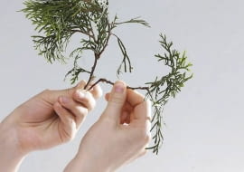 15.06.2009 WARSZAWA SESJA SADZONKI ZYWOTNIKA KROK PO KROKU DLA CZASOPISMA KWIETNIK OGRODY FOT. ARKADIUSZ SCICHOCKI / AGENCJA GAZETA PUBLIKACJA OGRODY NR 8 (124) - 8 2009 SLOWA KLUCZOWE: ROSLINA OGRODNICTWO ZDJĘCIE DO WKŁADKI: PUBLIKACJA OGRODY NR 8 (124) - CZASOPISMA