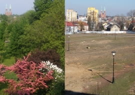 Park przed i po wycince