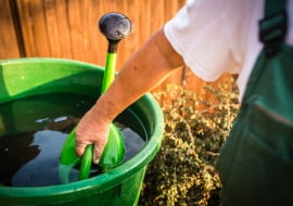 W ramach rządowego wsparcia złożono rekordową liczbę wniosków do deszczówki  - prawie 25 tysięcy wniosków