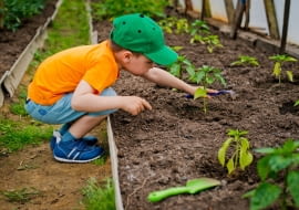 Dlaczego warto angażować dzieci w prace w ogrodzie?