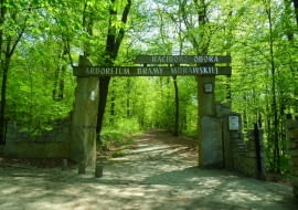 Arboretum w Raciborzu