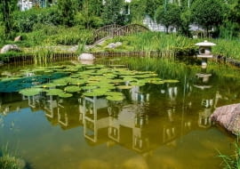 Wielość gatunków nadwodnych roślin sprawia, że ten miniogród ma swobodny, wręcz wakacyjny charakter.