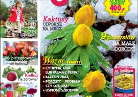 Magazyn Magnolia 2/2015