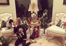 gwiazdy na święta, święta gwiazd, świąteczne domy