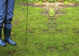 Nakłuwając ziemię prętem, sprawdzimy, czy nie ma w niej podziemnych korytarzy wydrążonych przez gryzonie.