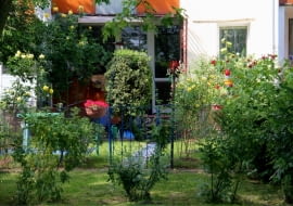 Zieleń za oknami, czyli ogródki przy blokach.