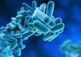 Bakterie z rodzinny Legionella, choć wyglądają niepozornie, w rzeczywistości wywołują wiele groźnych schorzeń