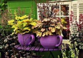 Balkon tylko w żurawkach? Czemu nie. Wielobarwne zestawienia odmian tej byliny wyglądają wspaniale od wiosny aż do mrozów.