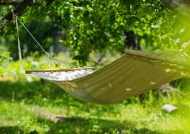 Jak zorganizować cień w pobliżu domu?