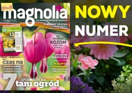 Magazyn Magnolia