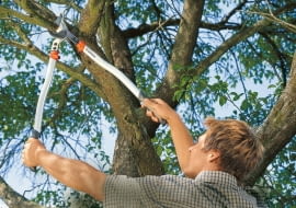 Nożyce z dźwignią 18-krotnie zwiększającą siłę nacisku ułatwiają cięcie.