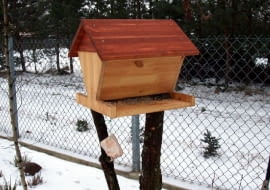 Karmniki dla ptaków. Do karmników z daszkiem (tradycyjnych domków) pokarm sypiemy drobnymi porcjami.