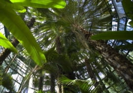 Park w Gdańsku - Oliwie