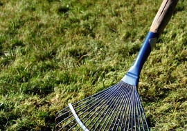 Stare pędy traw, mech i zgniłe liście tworzą na trawniku filc, który trzeba wiosną dokładnie zgrabić.