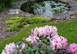 Ogród p. Małgorzaty Wójtowicz-Cichoń, który zdobył pierwsze wyróżnienie w X edycji konkursu "Najpiękniejsze ogrody Czytelników"