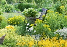 Ta rabata utrzymana jest w jasnożółtej tonacji. Królują na niej kwitnące wiosną wilczomlecze oraz drobnokwiatowe pszonaki. W koszu umieszczono funkię o żółtoobrzeżonych liściach, niżej biały zawilec i żółte tulipany.