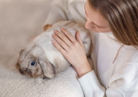 Małe zwierzęta domowe