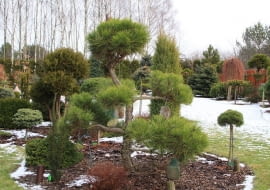 Ogród uczestników 'Z ogrodem na TY'