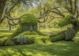 Baśniowa scena w cieniu drzew.